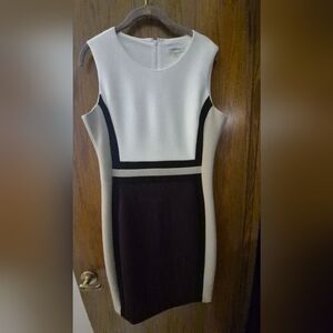 Elegant Black and Cream Colorblock Dress